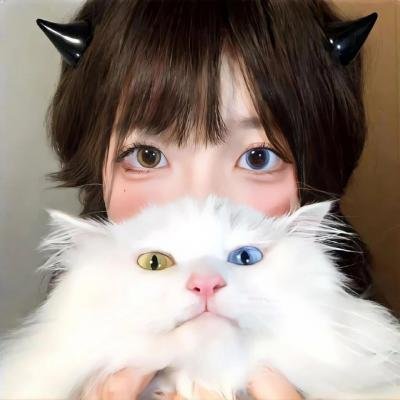 范汤麻士奇案